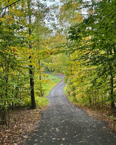 Nature Escape: Fire Pit • Games • Near Windham Mtn