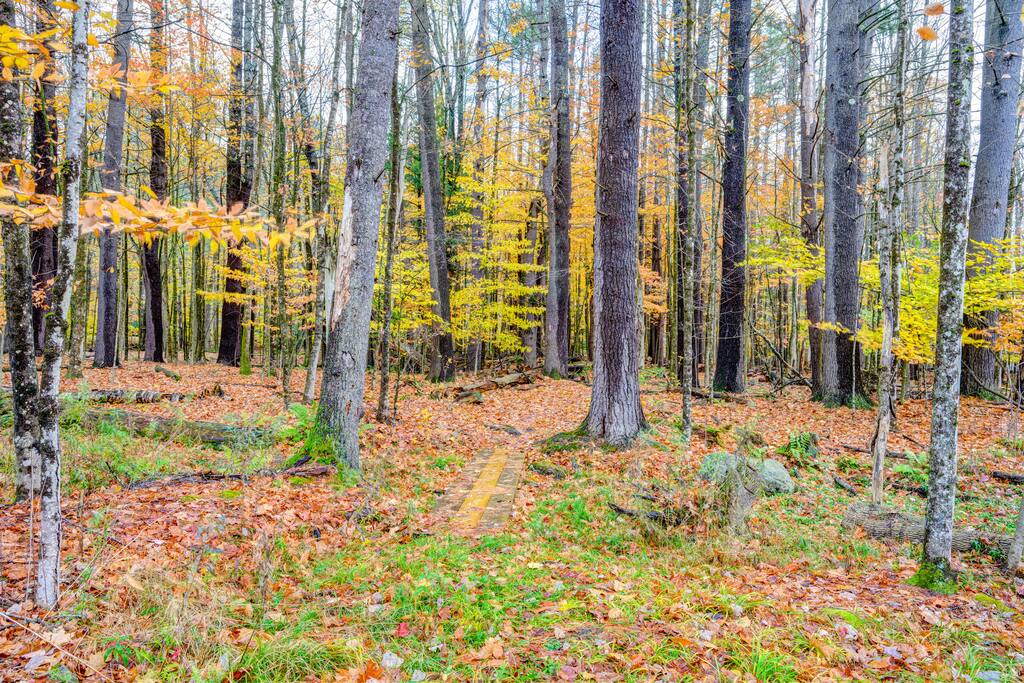 the-butterfly-house-*-deck-kayak-and-views/
