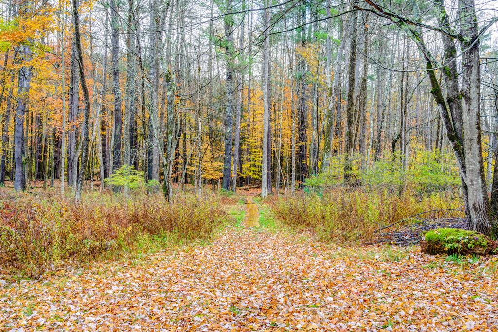 the-butterfly-house-*-deck-kayak-and-views/
