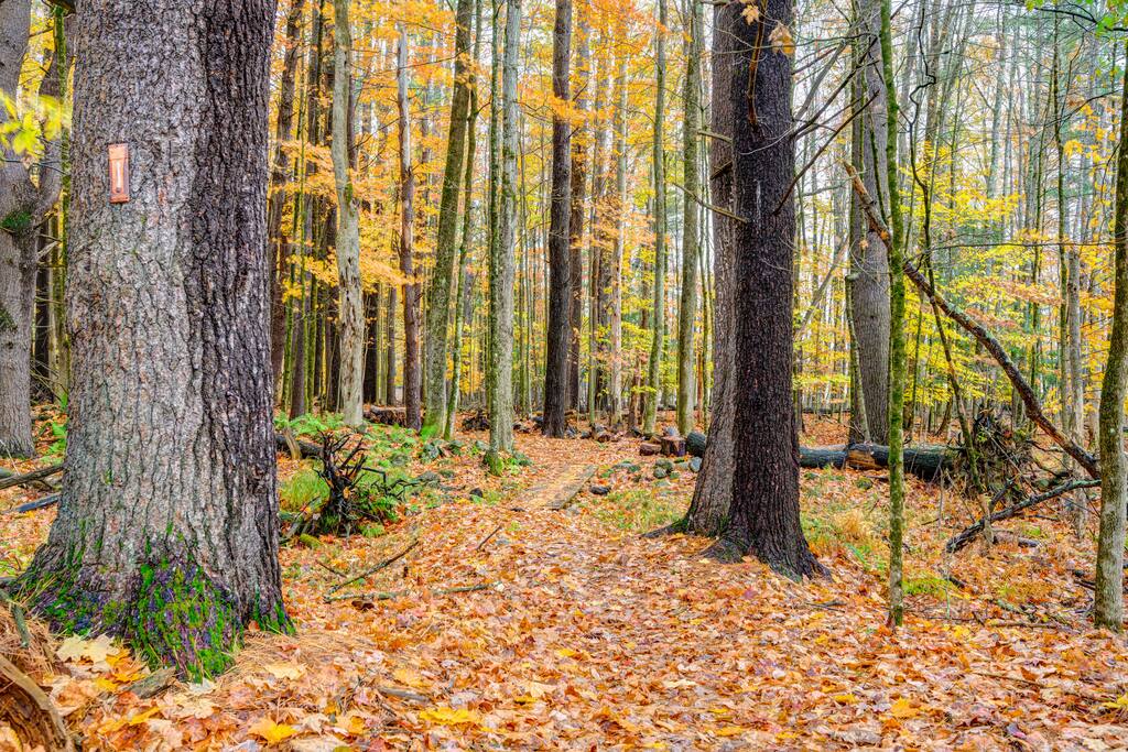 the-butterfly-house-*-deck-kayak-and-views/