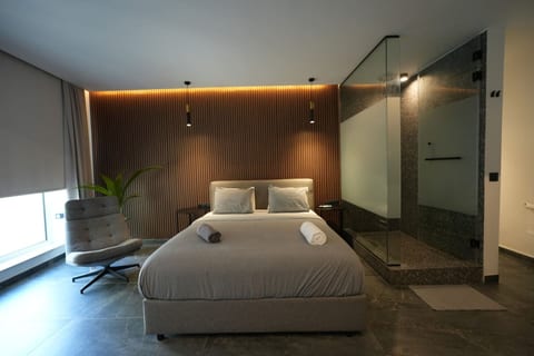 Signature Suites -Ermou