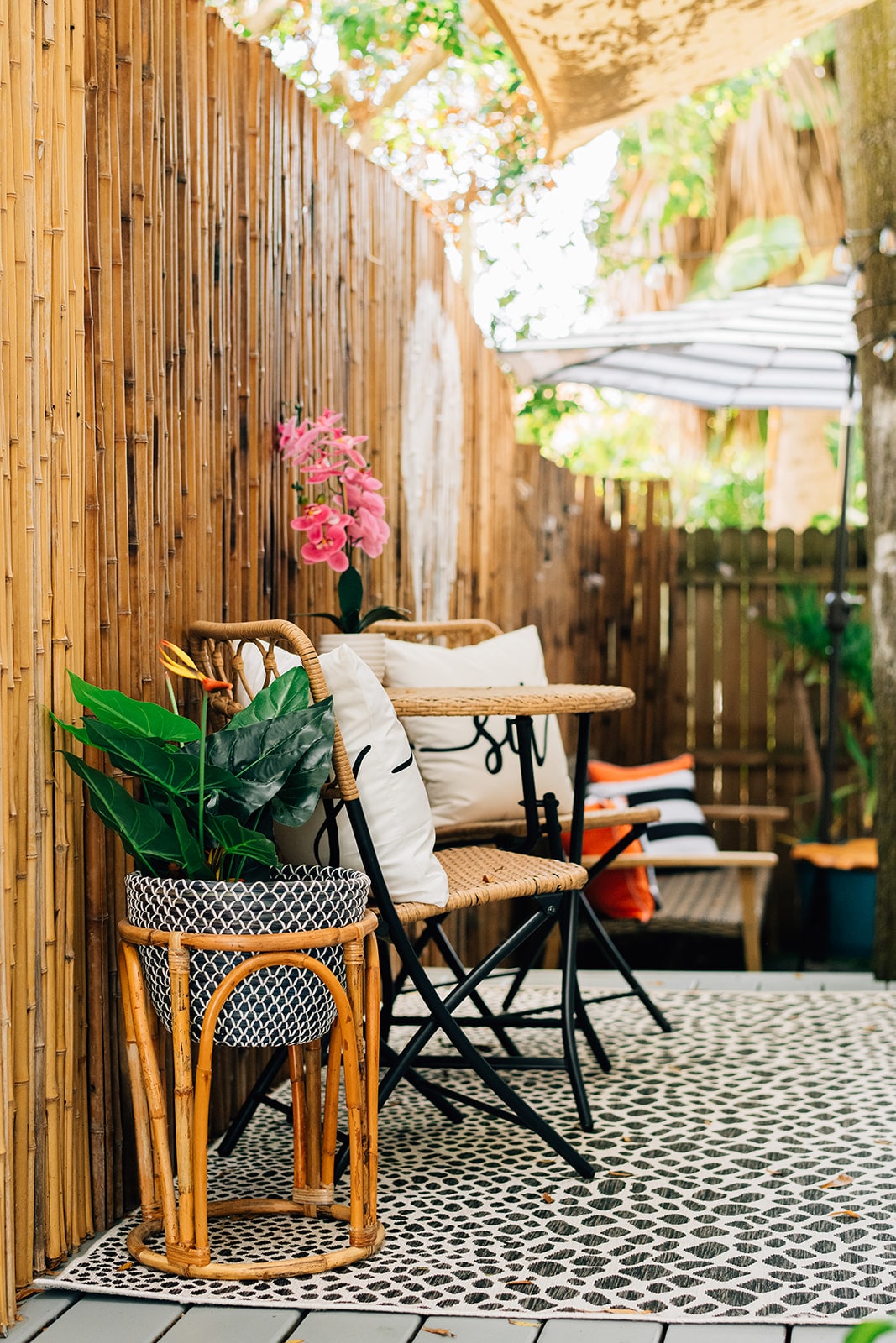 the-twisted-tulip-a-curious-stay/