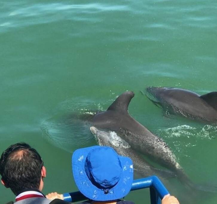 fall-specials-large-bungalow:perfect-for-groups/