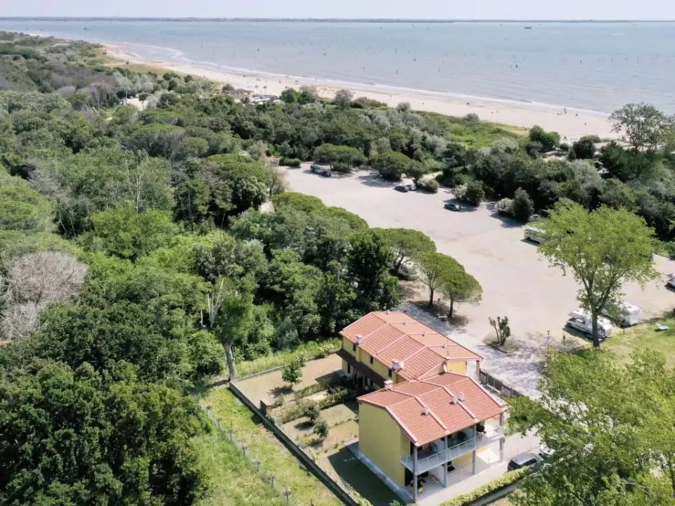 Veronica - Lido di Volano