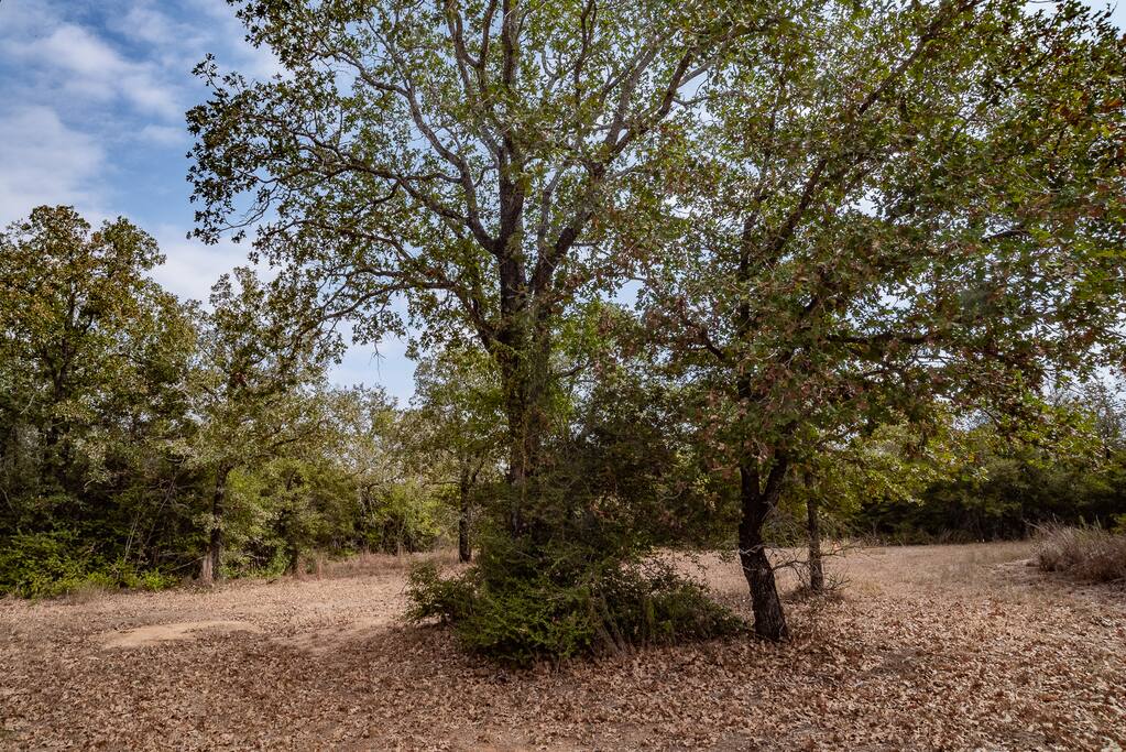 private-ranch-or-king-or-ottine-mineral-springs/