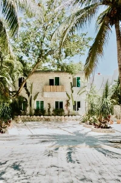 Tropical Boho Chic image 2