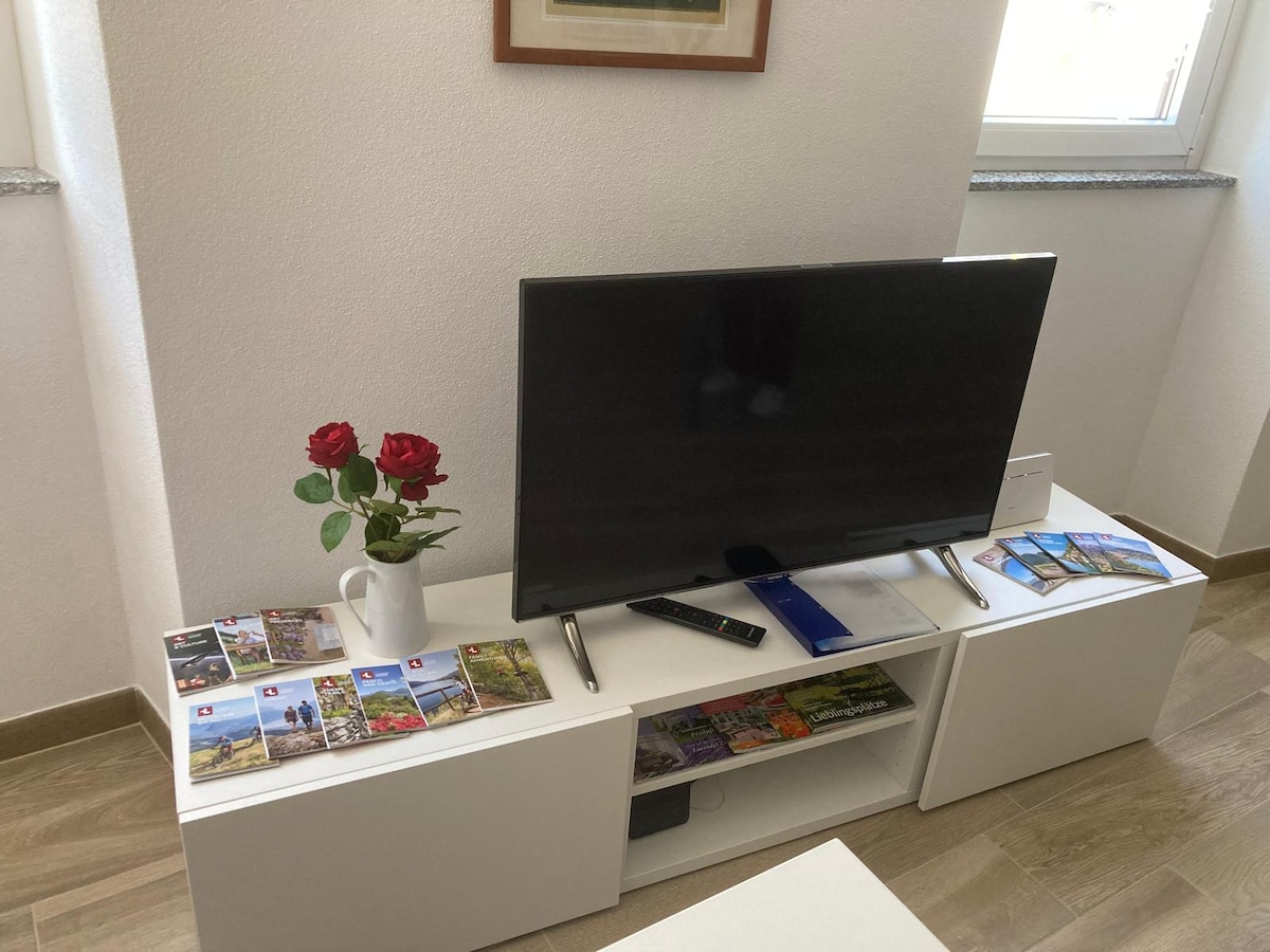 court-house-curio-in-the-green-malcantone/