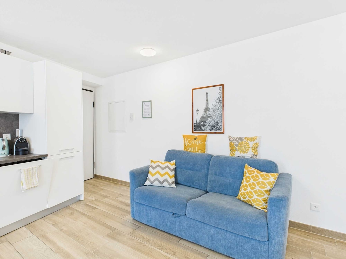 court-house-curio-in-the-green-malcantone/