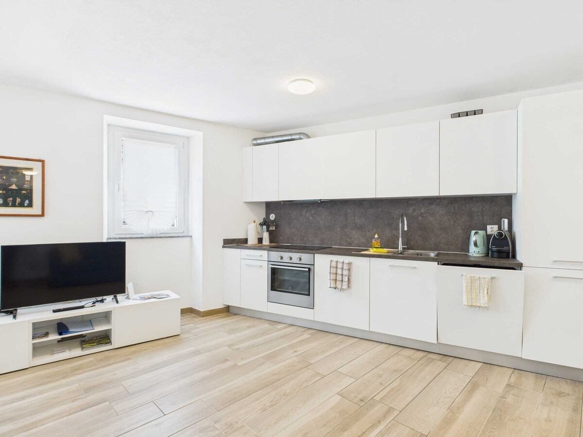 court-house-curio-in-the-green-malcantone/