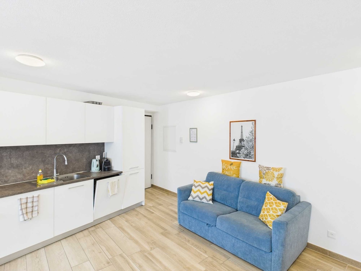 court-house-curio-in-the-green-malcantone/