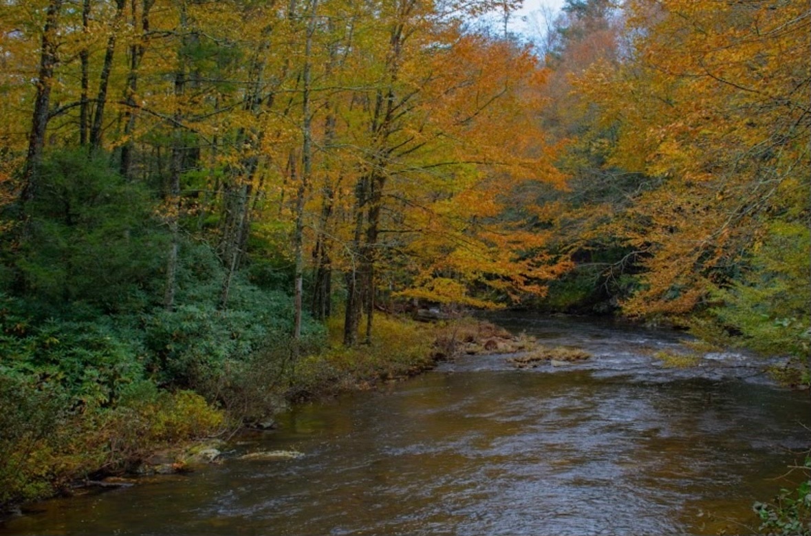 The Nook at High Crest - Newland