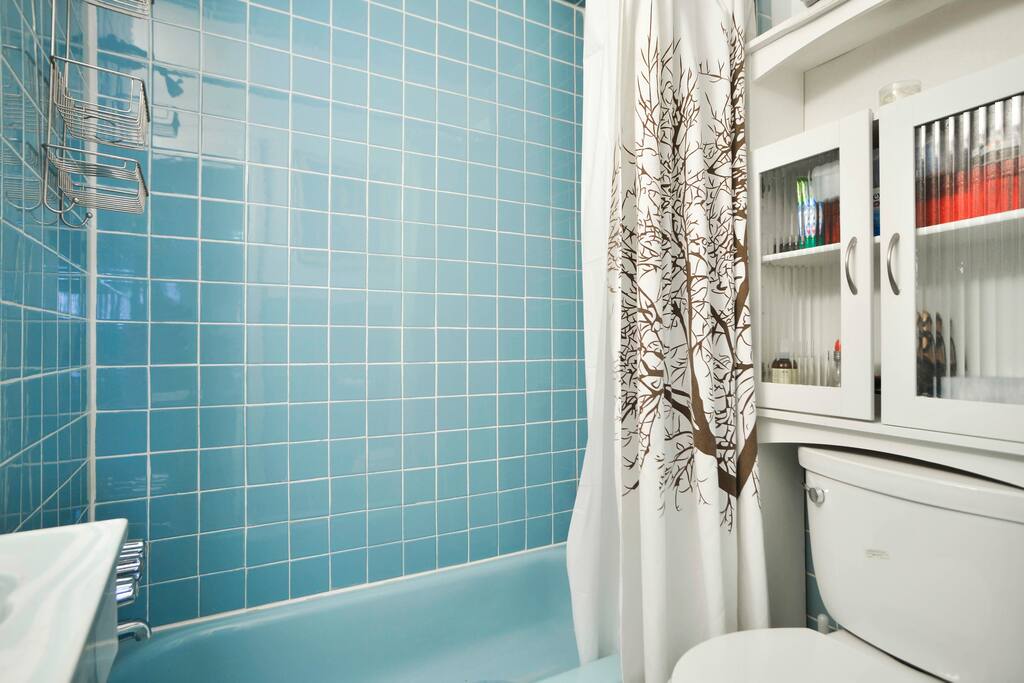 Bathroom with luxury and necessities Tub/shower combination with jet stream water pressure Bathroom with luxury and necessities Tub/shower combination with jet stream water pressure - Gem In Park Slope - Brooklyn