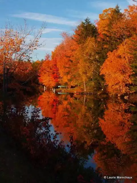 Foliage - Vermont Cottage Amherst Lake & Sanctuary - Plymouth