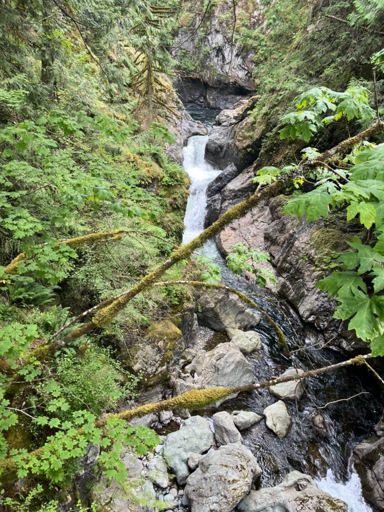 Scenic forest waterfall with lush greenery and peaceful natural views Mid Sept-mid June.