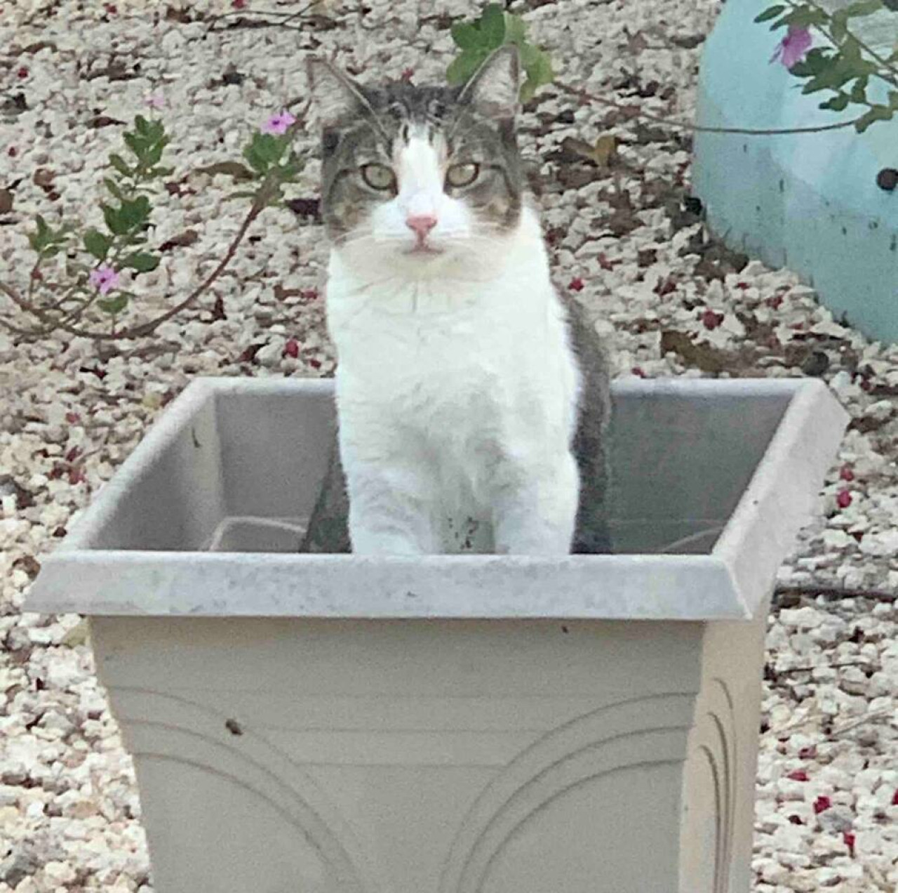 s3-bp-or-steps-to-beach/