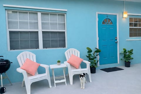 PATIO. Outdoor Features: BBQ, simple 4-seater Dining Table, Picnic Table, Sea Grape Trees, Palm Trees. Also in this photo is one of our community cats, Soldier, doing his inspection.