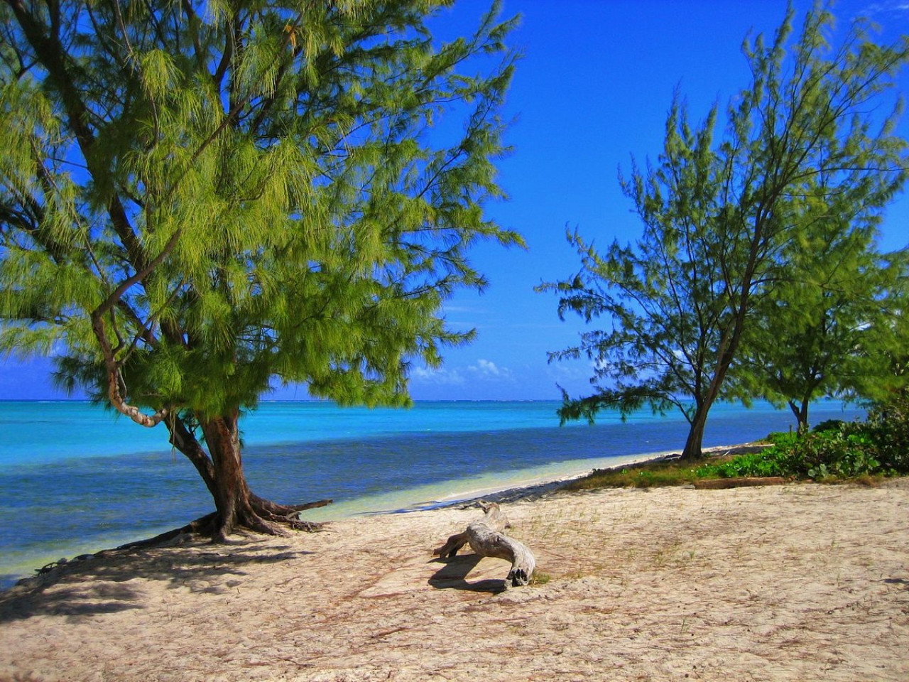 3-suites-and-breakfast-or-steps-to-beach/