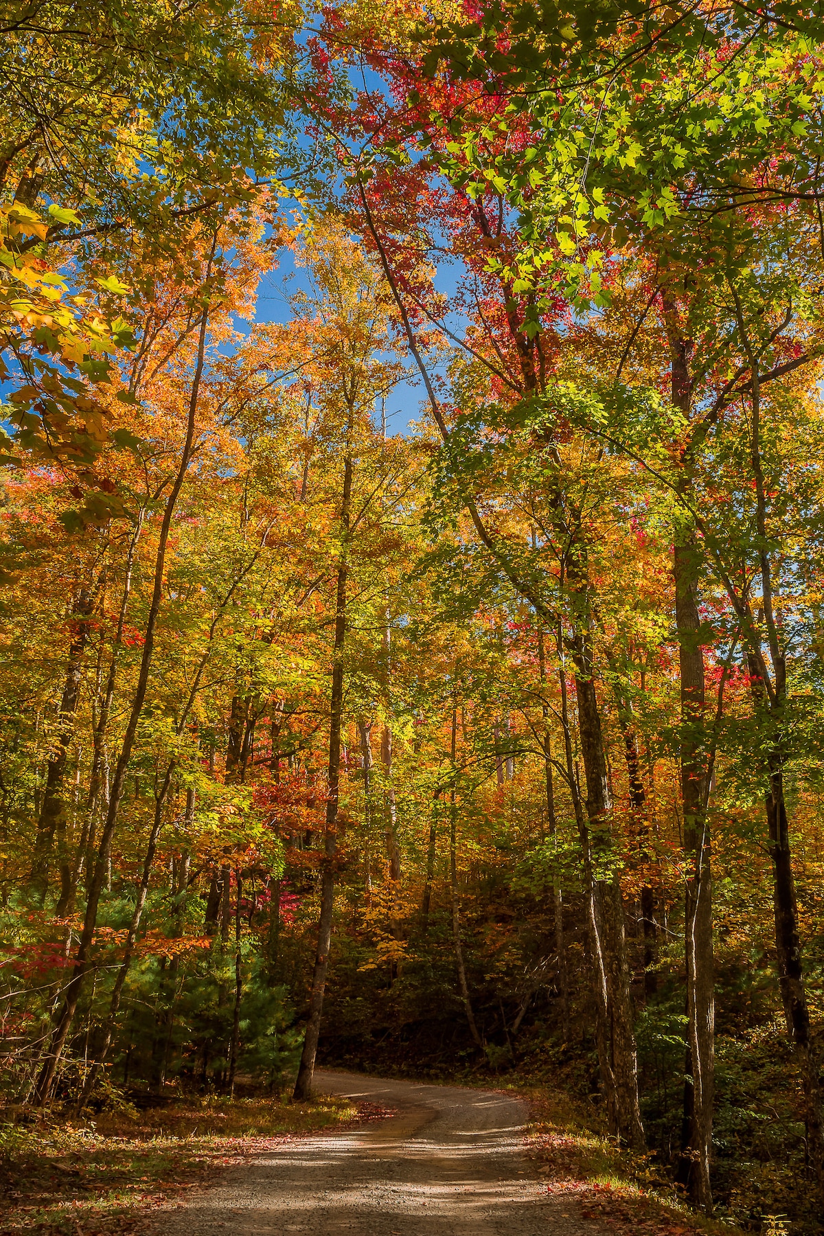 Autumn Escape. 4BR Fireplace, Theater, HotTub image 29