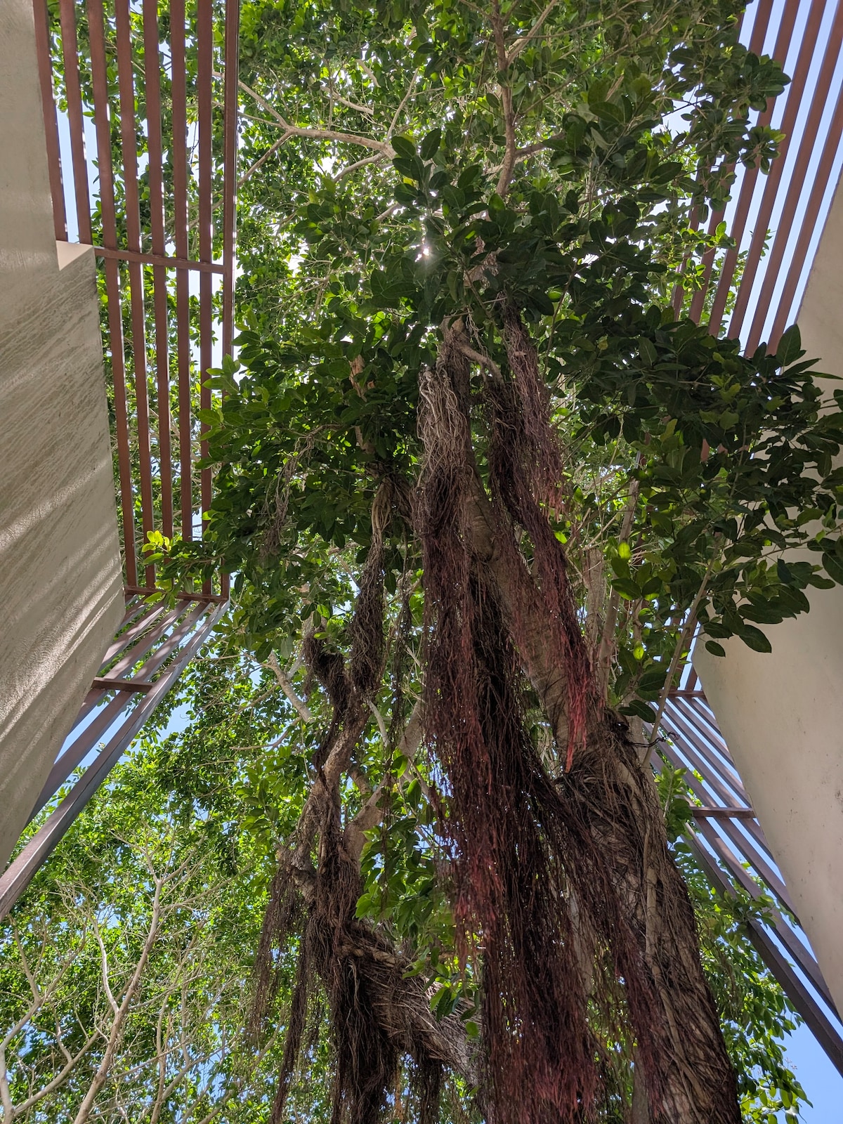 luxury-4-bedroom-villa-with-private-pool/