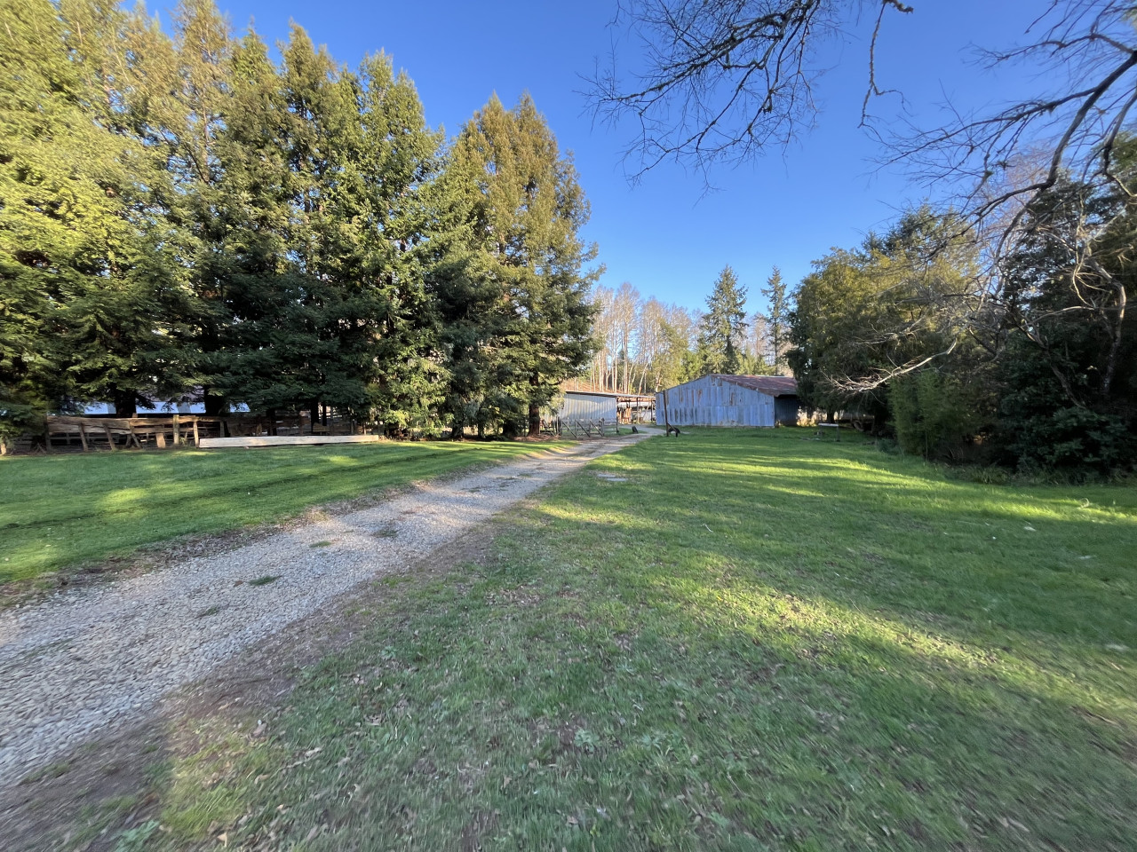 cabin-larchor-bbq-laundry-wifi-wood-hot-tub/