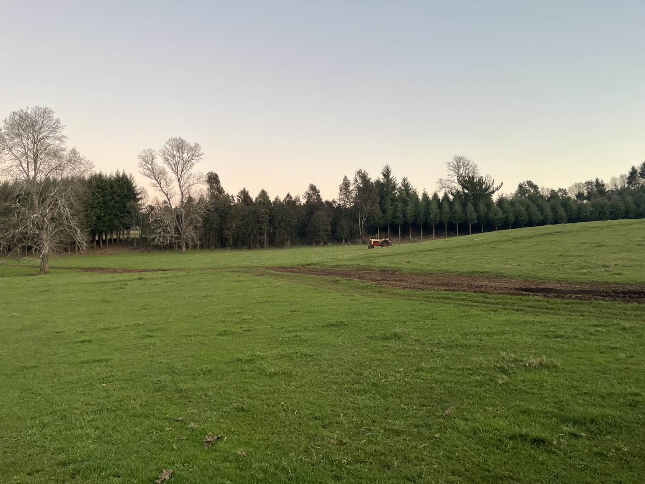 room-manio-wbreakfast-hostal-rukaleufu-or-huiscapi/