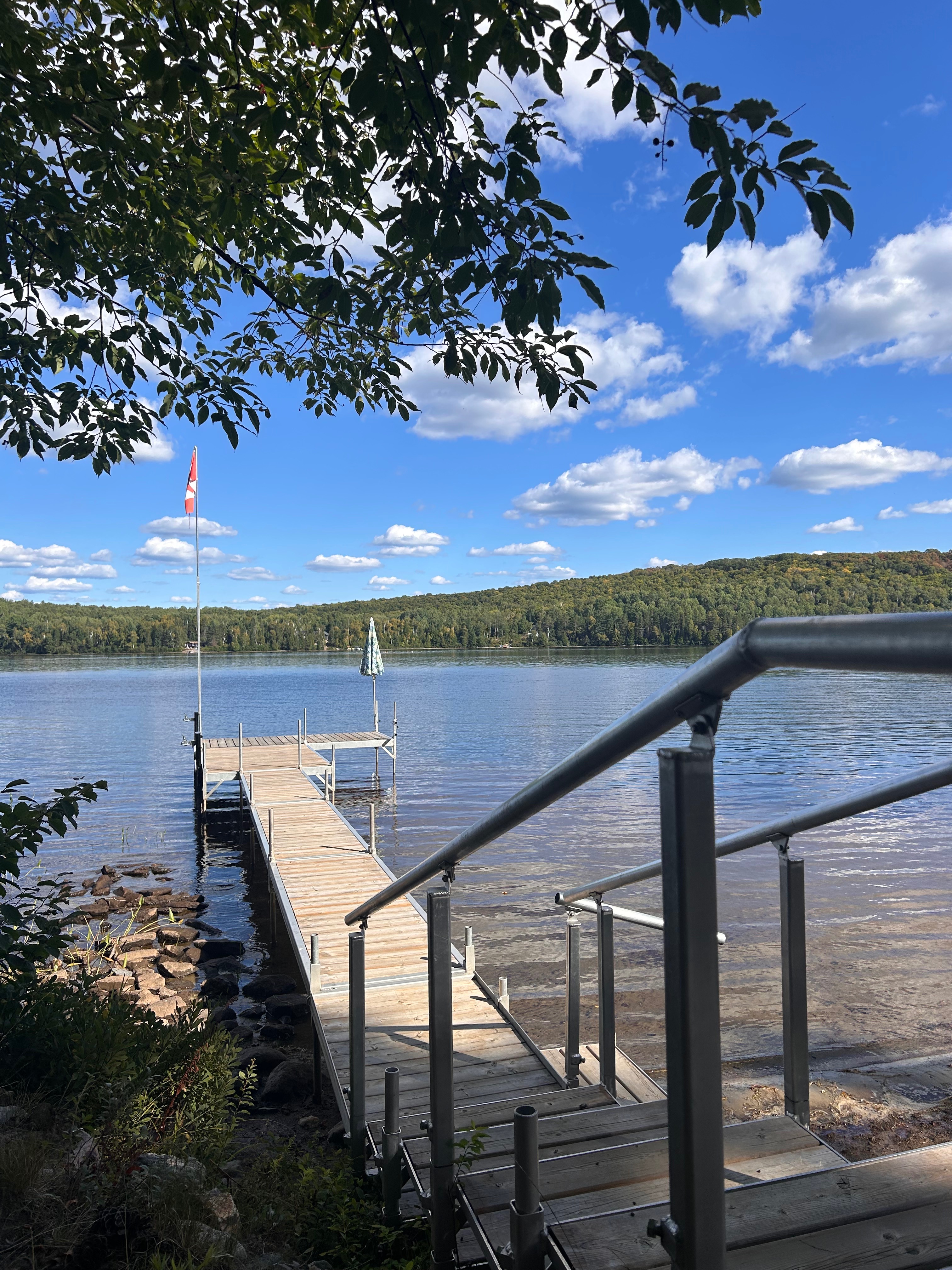 View from the edge of the property