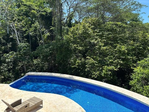 Jungle Luxe: Pool, Privacy & Monkey Magic image 3