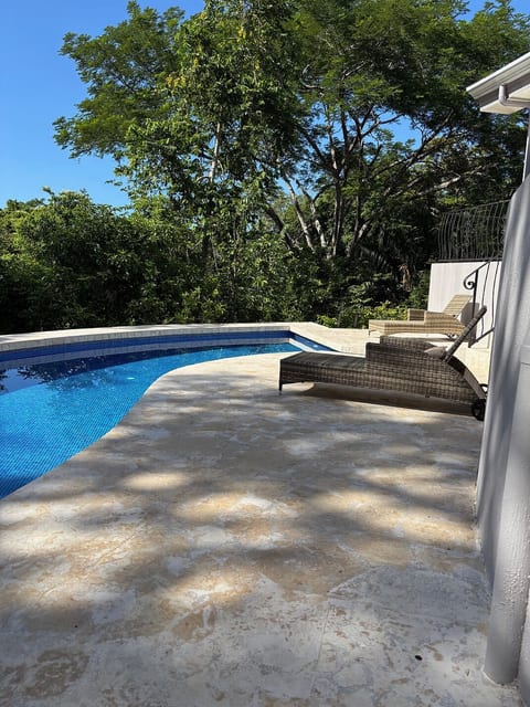 Jungle Luxe: Pool, Privacy & Monkey Magic image 5