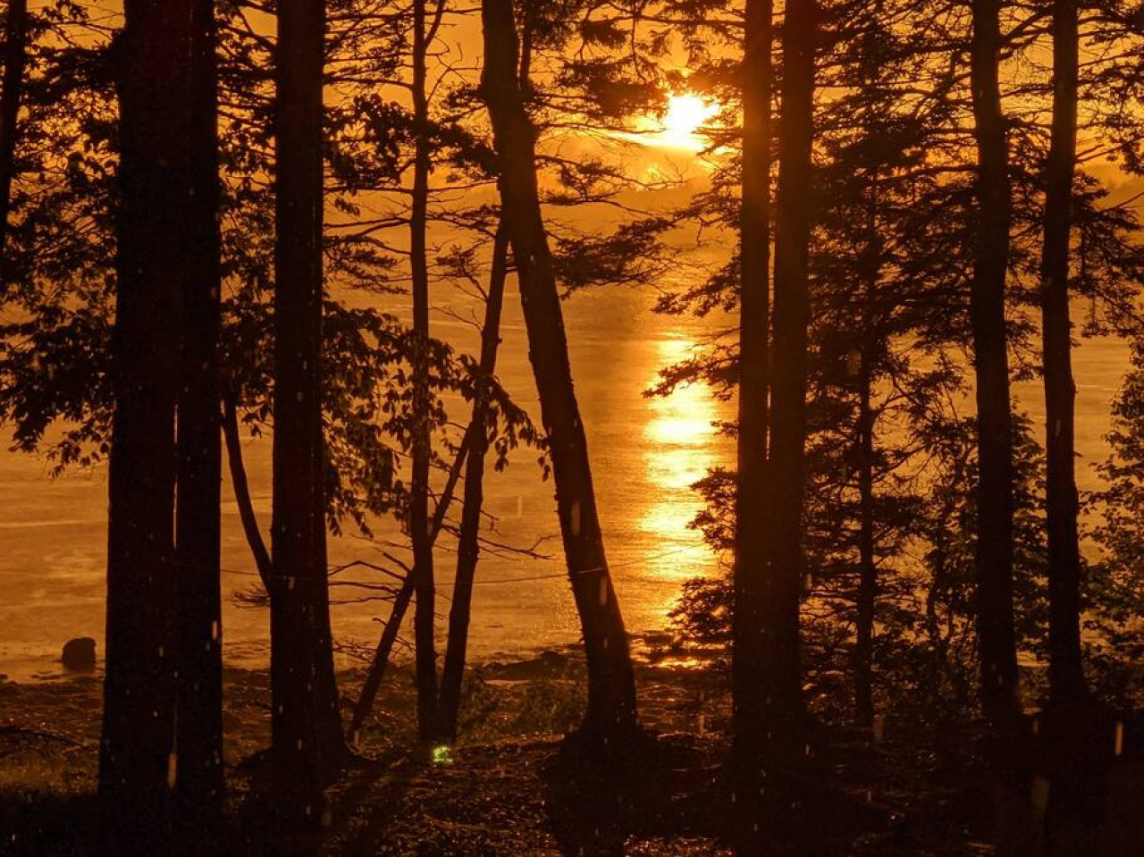 Eastman's Seaside Cottage with Private Beach - Deer Isle