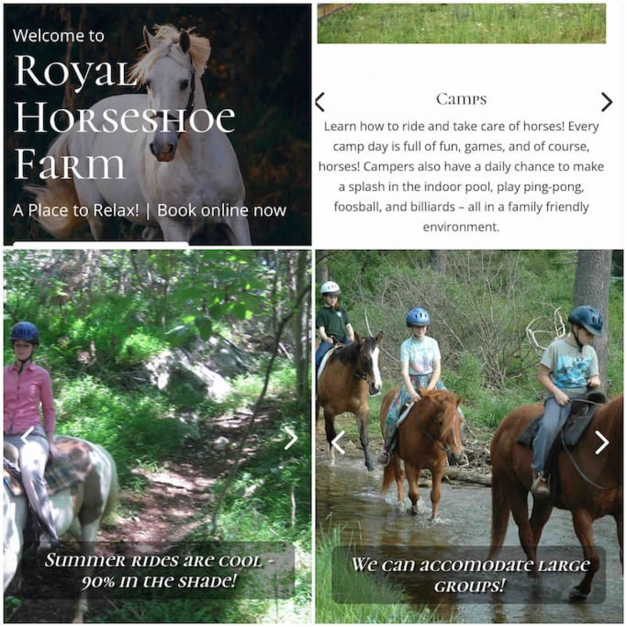 Blue Mountain Getaway: Hot tub, Winery, Game Room - Wise County