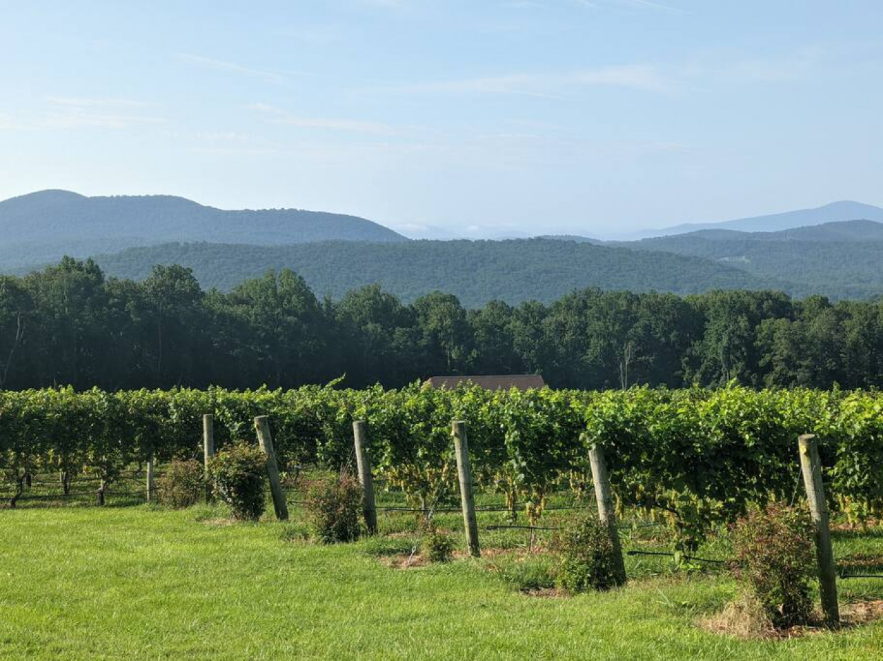 Blue Mountain Getaway: Hot tub, Winery, Game Room - Wise County