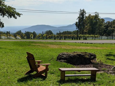 Blue Mountain Getaway: Hot tub, Winery, Game Room