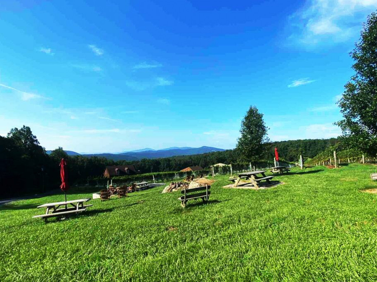 Blue Mountain Getaway: Hot tub, Winery, Game Room - Wise County