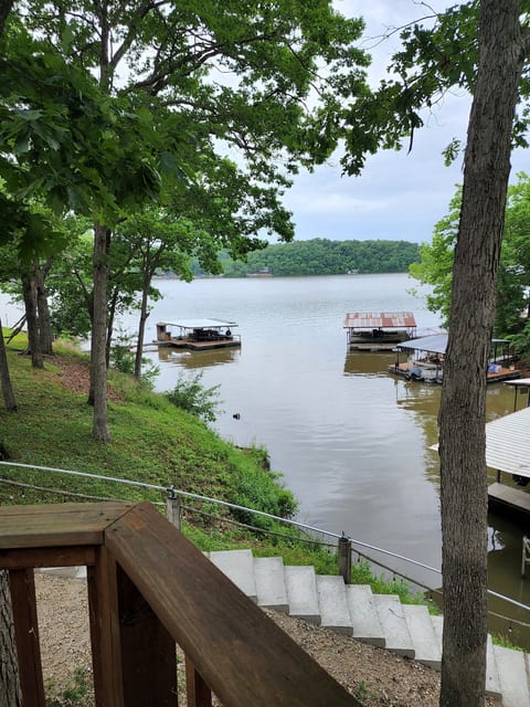 Back Deck View