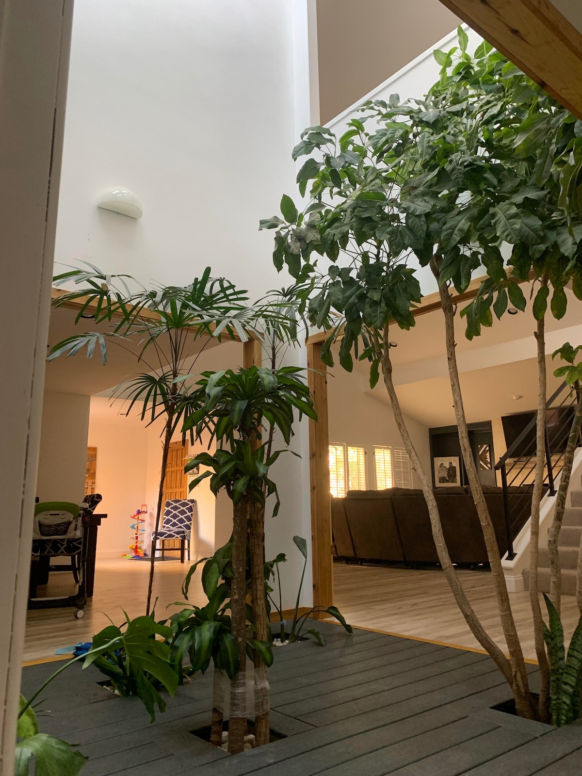 “Tree House”:7 beds &hot tub image 1