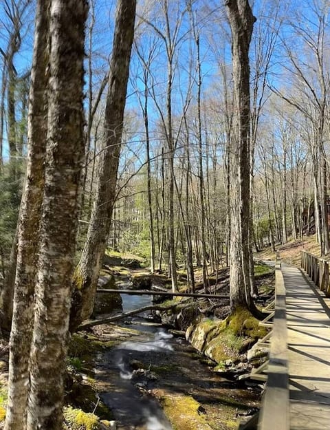 Perry park trail
