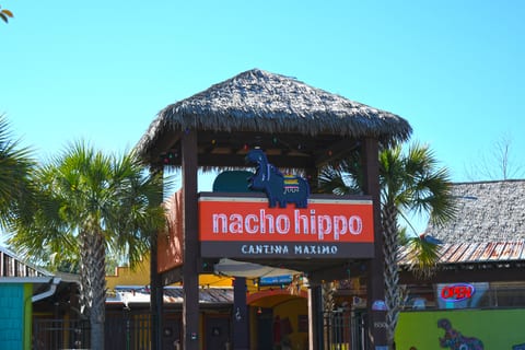 Bold flavors, vibrant decor, and a fun atmosphere make Nacho Hippo the ultimate fiesta spot.