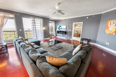 Amazing Living Room