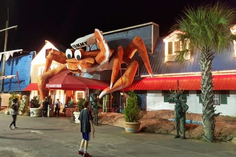 Lots of Local Food and Entertainment Nearby