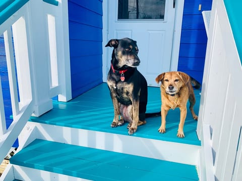 Barrier-free Near the Sea! Wheelchair Accessible
