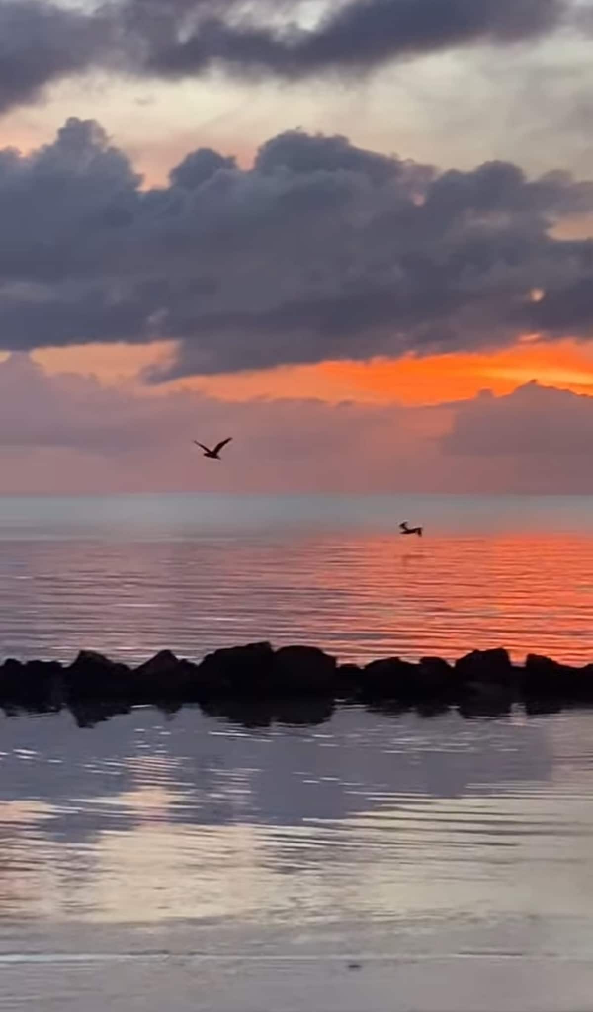 All shades  of Blu image 44