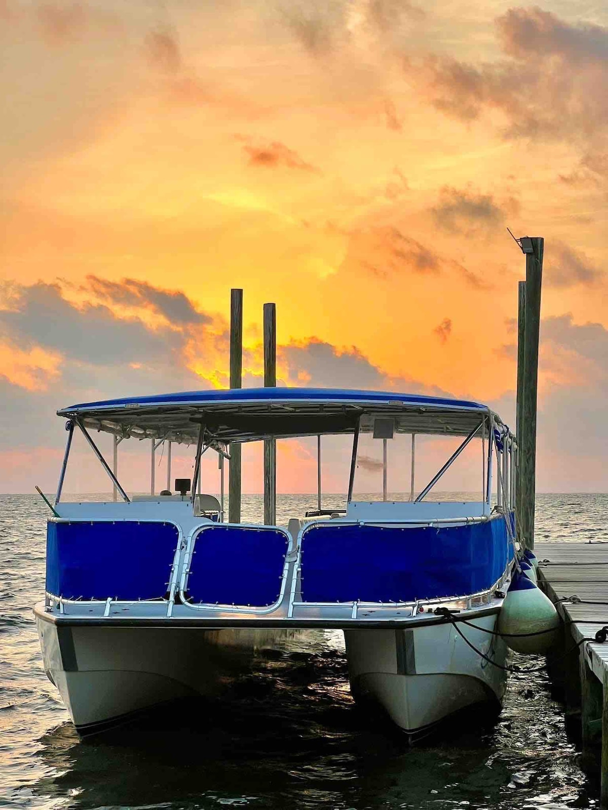 This the katamaran that runs from Caye Caulker to The resort frequently, schedules changes for the season .
Look at the last picture in the in listing that has the itinerary   for the boat runs  