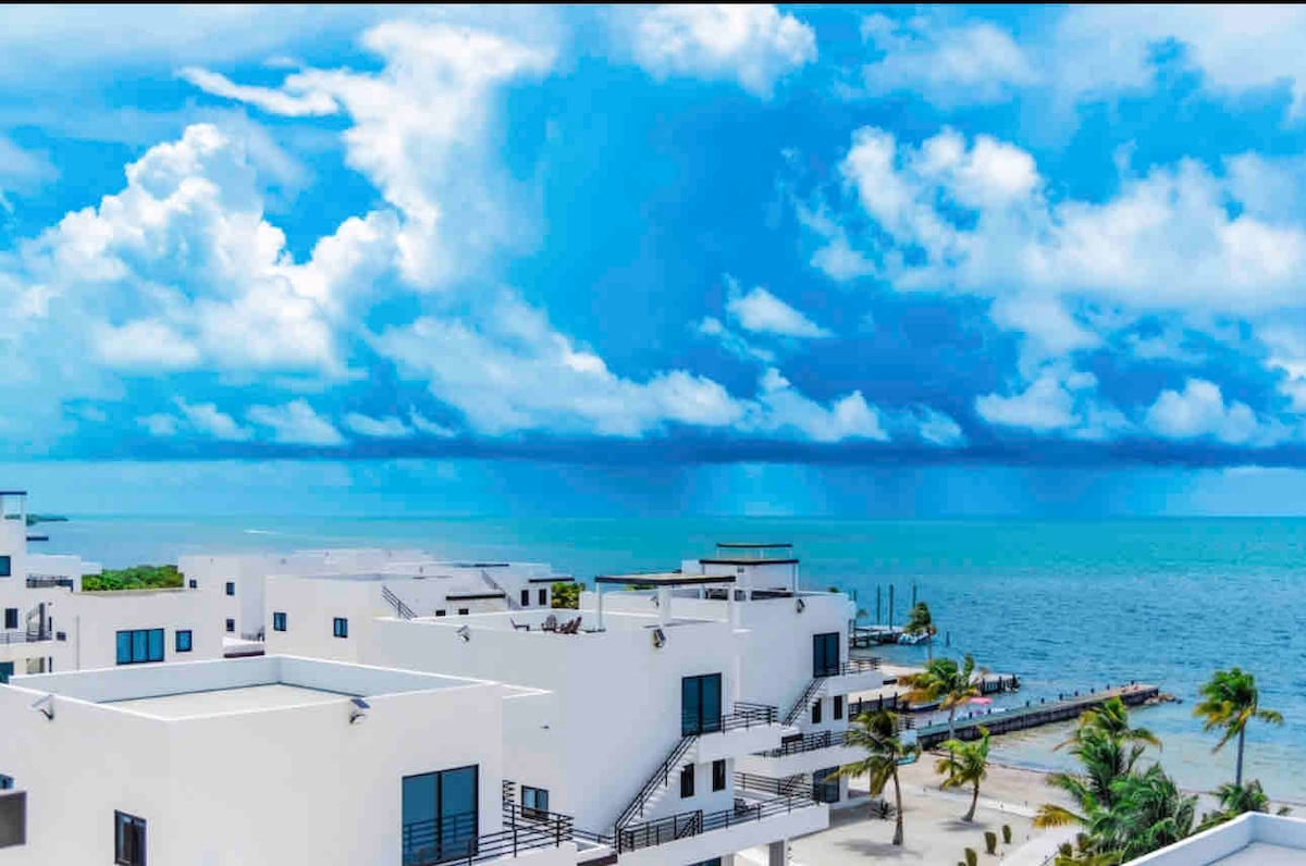 All shades  of Blu image 6