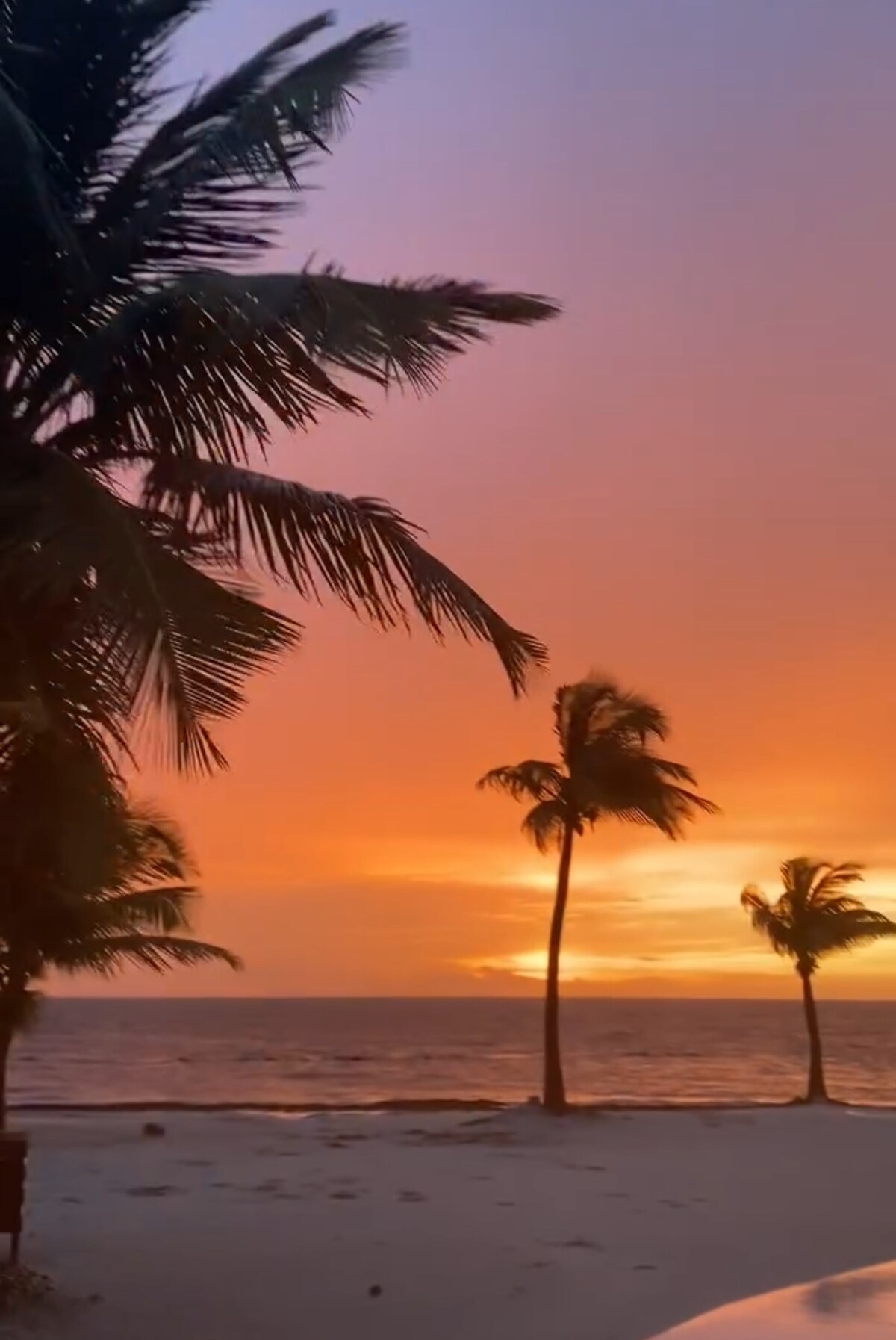 All shades  of Blu image 42