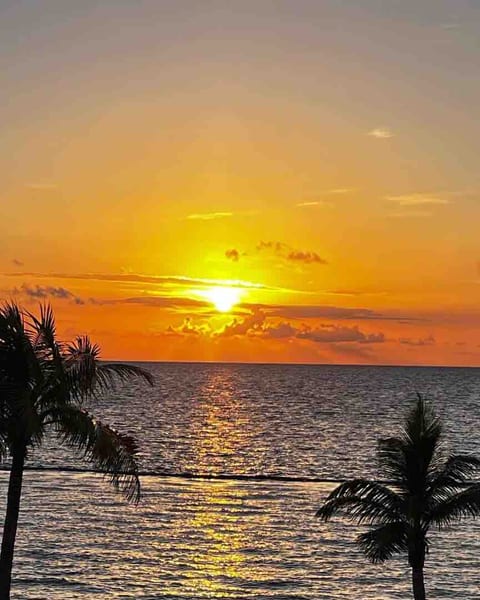 The sun rice are espectacular and for sun set nothing like the sun set cruise with lobster dinner.