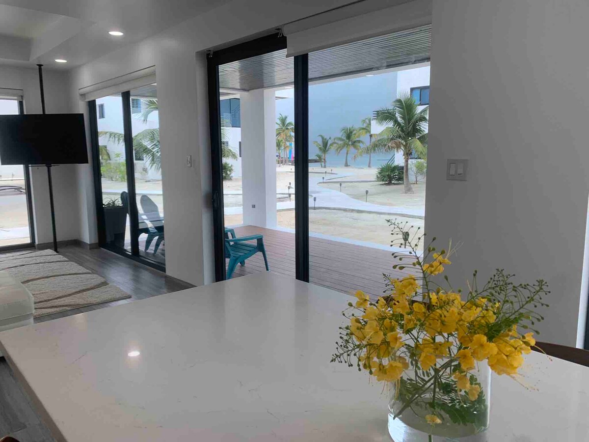  Counter top of the kitchen, the automatic retractable blinds are all open in this picture. 