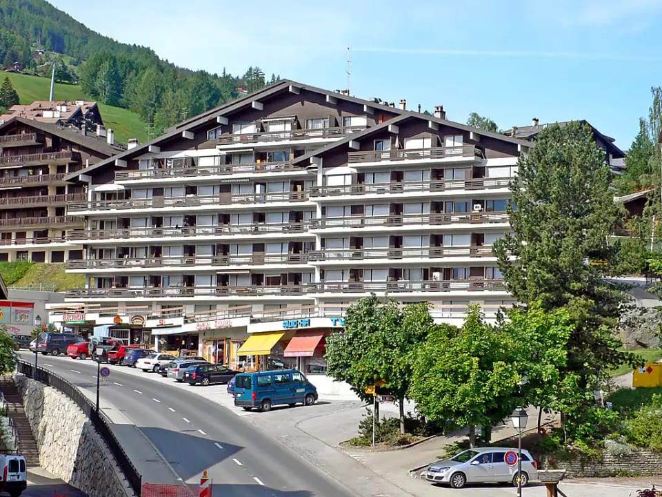 Valaisia 36A - Nendaz