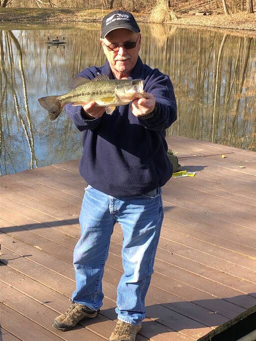 dreamy-woodland-haven-~-hot-tub-~-trails-~-pets-ok/