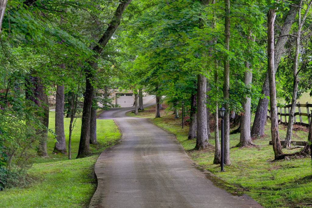dreamy-woodland-haven-~-hot-tub-~-trails-~-pets-ok/