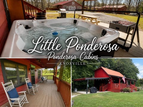 Tranquil & Cozy~Hot Tub~FP~Trails~Fish~Pets OK!